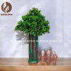 Cây Bonsai Cổ Thụ Quế Tâm Decor - Trang trí chụp ảnh, hồ cá, bàn làm việc - 89.000₫ 3
