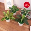 Cây bonsai nhân tạo mini – Cây lô hội giả nhỏ, chậu cây cảnh trang trí bàn làm việc, văn phòng, sân vườn, phù hợp bốn mùa – 42.900đ