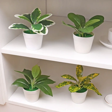 Cây bonsai nhân tạo mini – Cây lô hội giả nhỏ, chậu cây cảnh trang trí bàn làm việc, văn phòng, sân vườn, phù hợp bốn mùa – 42.900đ 3