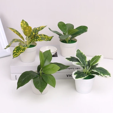 Cây bonsai nhân tạo mini – Cây lô hội giả nhỏ, chậu cây cảnh trang trí bàn làm việc, văn phòng, sân vườn, phù hợp bốn mùa – 42.900đ 4