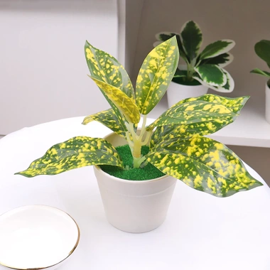 Cây bonsai nhân tạo mini – Cây lô hội giả nhỏ, chậu cây cảnh trang trí bàn làm việc, văn phòng, sân vườn, phù hợp bốn mùa – 42.900đ 7