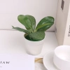 Cây bonsai nhân tạo mini – Cây lô hội giả nhỏ, chậu cây cảnh trang trí bàn làm việc, văn phòng, sân vườn, phù hợp bốn mùa – 42.900đ 8