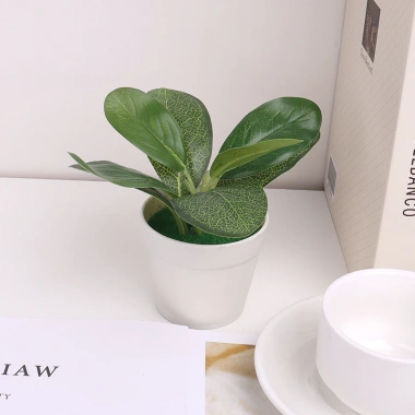 Cây bonsai nhân tạo mini – Cây lô hội giả nhỏ, chậu cây cảnh trang trí bàn làm việc, văn phòng, sân vườn, phù hợp bốn mùa – 42.900đ 8