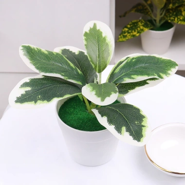 Cây bonsai nhân tạo mini – Cây lô hội giả nhỏ, chậu cây cảnh trang trí bàn làm việc, văn phòng, sân vườn, phù hợp bốn mùa – 42.900đ 9