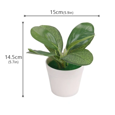 Cây bonsai nhân tạo mini – Cây lô hội giả nhỏ, chậu cây cảnh trang trí bàn làm việc, văn phòng, sân vườn, phù hợp bốn mùa – 42.900đ 10