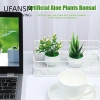 Cây Bonsai Nhân Tạo Mini UFANSM - Trang Trí Bàn Làm Việc, Văn Phòng, Giá Ưu Đãi 35.964 VND