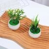 Cây Bonsai Nhân Tạo Mini UFANSM - Trang Trí Bàn Làm Việc, Văn Phòng, Giá Ưu Đãi 35.964 VND 8