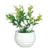 Cây Bonsai Nhân Tạo Mini UFANSM - Trang Trí Bàn Làm Việc, Văn Phòng, Giá Ưu Đãi 35.964 VND 10