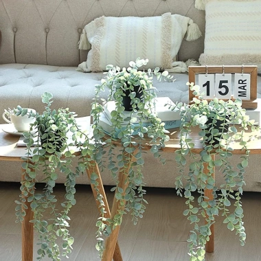Cây Cảnh Mini Lá Nhựa Rủ Dài - Chậu Xinh Trang Trí Nội Thất, Giá 29,400₫ 5