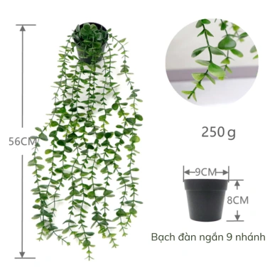 Cây Cảnh Mini Lá Nhựa Rủ Dài - Chậu Xinh Trang Trí Nội Thất, Giá 29,400₫ 7