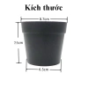 Cây Cảnh Mini Lá Nhựa Rủ Dài - Chậu Xinh Trang Trí Nội Thất, Giá 29,400₫ 9