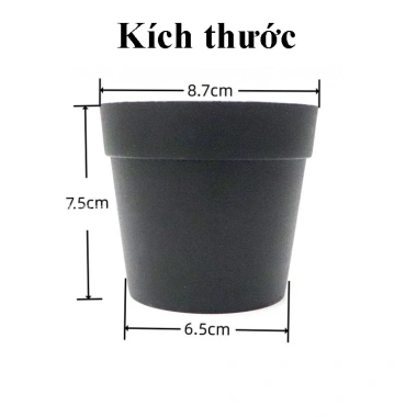 Cây Cảnh Mini Lá Nhựa Rủ Dài - Chậu Xinh Trang Trí Nội Thất, Giá 29,400₫ 9