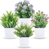 Cây cỏ hoa nhựa chậu cao 18cm - Thiết kế hiện đại, trang trí kệ sách, bàn làm việc, phòng ngủ, tạo không gian xanh, đẹp mắt, độc đáo, giá ưu đãi 32.300₫