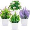 Cây cỏ hoa nhựa chậu cao 18cm - Thiết kế hiện đại, trang trí kệ sách, bàn làm việc, phòng ngủ, tạo không gian xanh, đẹp mắt, độc đáo, giá ưu đãi 32.300₫ 3