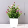 Cây cỏ hoa nhựa chậu cao 18cm - Thiết kế hiện đại, trang trí kệ sách, bàn làm việc, phòng ngủ, tạo không gian xanh, đẹp mắt, độc đáo, giá ưu đãi 32.300₫ 4