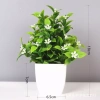 Cây cỏ hoa nhựa chậu cao 18cm - Thiết kế hiện đại, trang trí kệ sách, bàn làm việc, phòng ngủ, tạo không gian xanh, đẹp mắt, độc đáo, giá ưu đãi 32.300₫ 5