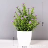 Cây cỏ hoa nhựa chậu cao 18cm - Thiết kế hiện đại, trang trí kệ sách, bàn làm việc, phòng ngủ, tạo không gian xanh, đẹp mắt, độc đáo, giá ưu đãi 32.300₫ 7