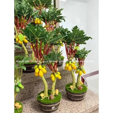 Cây Đu Đủ, Khế, Na mini 30-50cm nhập khẩu Đài Loan – Đặt bàn, giá chỉ 500.000₫ 4