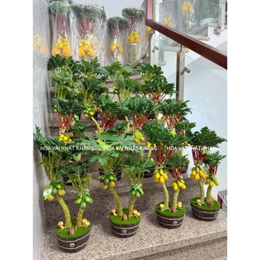 Cây Đu Đủ, Khế, Na mini 30-50cm nhập khẩu Đài Loan – Đặt bàn, giá chỉ 500.000₫ 5