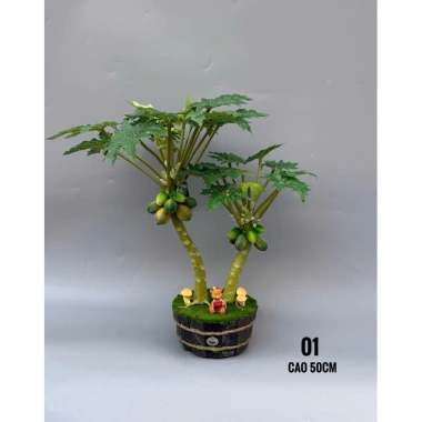 Cây Đu Đủ, Khế, Na mini 30-50cm nhập khẩu Đài Loan – Đặt bàn, giá chỉ 500.000₫ 9