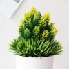 Cây Dứa Giả May Mắn Tài Lộc 20cm - Trang Trí Nhà, Quán Café, Giá Sách, Bàn Học - Giá 28.900₫ 5
