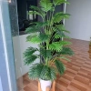 Cây dừa giả trang trí siêu xinh - Mẫu mới, giá chỉ 139.000₫, mua cây tặng chậu