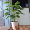 Cây dừa giả trang trí siêu xinh - Mẫu mới, giá chỉ 139.000₫, mua cây tặng chậu 8