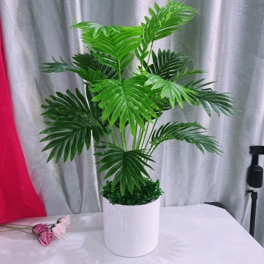 Cây dừa nhân tạo 80cm - Trang trí nhà cửa, tặng chậu, giá ưu đãi 165.000 VND