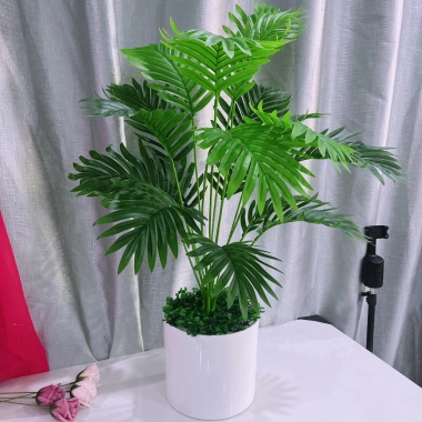 Cây dừa nhân tạo 80cm - Trang trí nhà cửa, tặng chậu, giá ưu đãi 165.000 VND