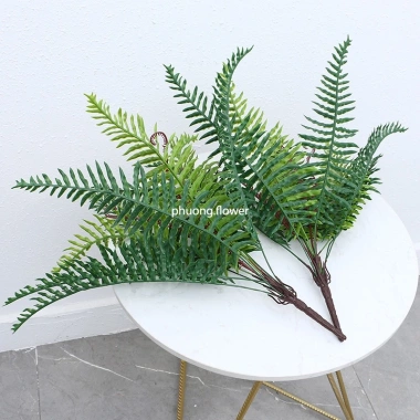 Cây dương xỉ giả cao cấp 99% giống thật, 52cm nhựa, dùng cắm chậu, decor nhà cửa - Giá ưu đãi 53.846₫ 7 Cây dương xỉ giả cao cấp 99% giống thật, 52cm nhựa, dùng cắm chậu, decor nhà cửa - Giá ưu đãi 53.846₫ 7