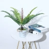 Cây dương xỉ giả cao cấp 99% giống thật, 52cm nhựa, dùng cắm chậu, decor nhà cửa - Giá ưu đãi 53.846₫ 9