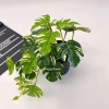 Cây giả 3D nhựa cao cấp lá trầu bà, lá khoai môn cắm chậu và treo tường giống thật 99%