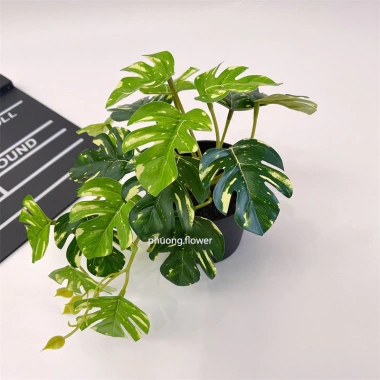 Cây giả 3D nhựa cao cấp lá trầu bà, lá khoai môn cắm chậu và treo tường giống thật 99%