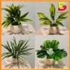 Cây Giả Chậu Cây Cảnh DG-60 – Trang Trí Bàn Làm Việc, Văn Phòng, Nhà Cửa, Giá 182.000₫