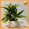 Cây Giả Chậu Cây Cảnh DG-60 – Trang Trí Bàn Làm Việc, Văn Phòng, Nhà Cửa, Giá 182.000₫ 2