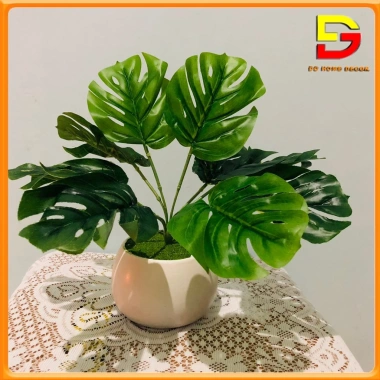 Cây Giả Chậu Cây Cảnh DG-60 – Trang Trí Bàn Làm Việc, Văn Phòng, Nhà Cửa, Giá 182.000₫ 4