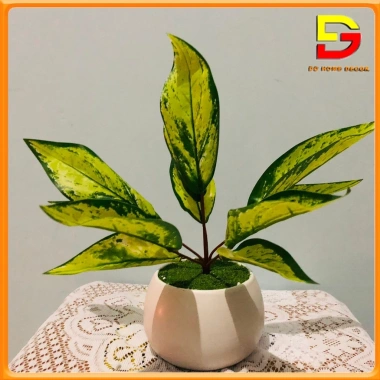 Cây Giả Chậu Cây Cảnh DG-60 – Trang Trí Bàn Làm Việc, Văn Phòng, Nhà Cửa, Giá 182.000₫ 5