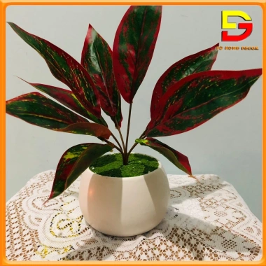 Cây Giả Chậu Cây Cảnh DG-60 – Trang Trí Bàn Làm Việc, Văn Phòng, Nhà Cửa, Giá 182.000₫ 6