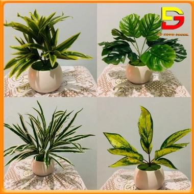 Cây Giả Chậu Cây Cảnh DG-60 – Trang Trí Bàn Làm Việc, Văn Phòng, Nhà Cửa, Giá 182.000₫ 8