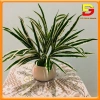Cây Giả Chậu Cây Cảnh DG-60 – Trang Trí Bàn Làm Việc, Văn Phòng, Nhà Cửa, Giá 182.000₫ 10