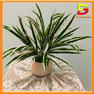 Cây Giả Chậu Cây Cảnh DG-60 – Trang Trí Bàn Làm Việc, Văn Phòng, Nhà Cửa, Giá 182.000₫ 10
