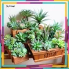 Cây giả Cụm sen đá, hoa đá cao su trang trí nội thất nhỏ xinh, giá 18.000 VND