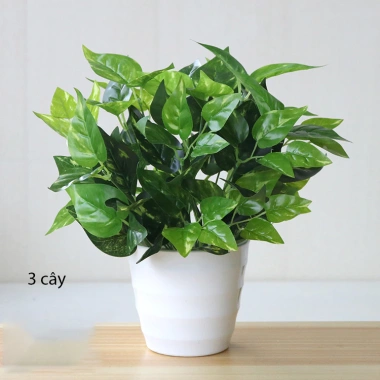 Cây giả decor 34cm 7 nhánh lá nhựa, giống thật 99% - Trang trí nội thất 17.200đ 4 Cây giả decor 34cm 7 nhánh lá nhựa, giống thật 99% - Trang trí nội thất 17.200đ 4