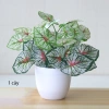 Cây giả decor 34cm 7 nhánh lá nhựa, giống thật 99% - Trang trí nội thất 17.200đ 6