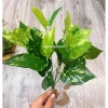 Cây giả decor 34cm 7 nhánh lá nhựa, giống thật 99% - Trang trí nội thất 17.200đ 7