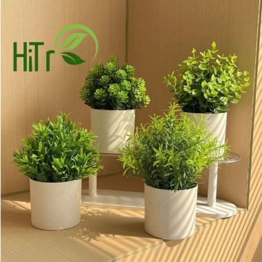 Cây Giả Kèm Chậu Để Bàn HiTree - Trang Trí Nhà Cửa, Giá 19.500 VND (Giảm)