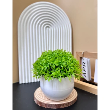 Cây Giả Kèm Chậu Để Bàn HiTree - Trang Trí Nhà Cửa, Giá 19.500 VND (Giảm)