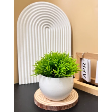 Cây Giả Kèm Chậu Để Bàn HiTree - Trang Trí Nhà Cửa, Giá 19.500 VND (Giảm)