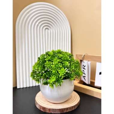Cây Giả Kèm Chậu Để Bàn HiTree - Trang Trí Nhà Cửa, Giá 19.500 VND (Giảm)