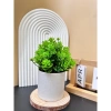 Cây Giả Kèm Chậu Để Bàn HiTree - Trang Trí Nhà Cửa, Giá 19.500 VND (Giảm) 5